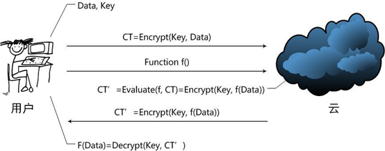 图1: 同态加密处理数据的过程
